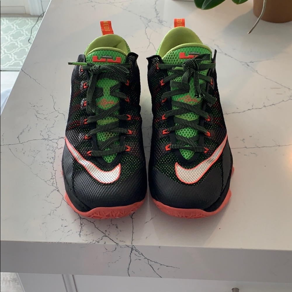 Lebron 12s